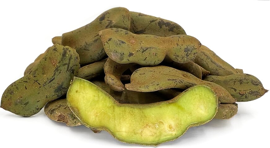 Green Tamarind Tree Seeds for Planting - Tropical Tree Seeds