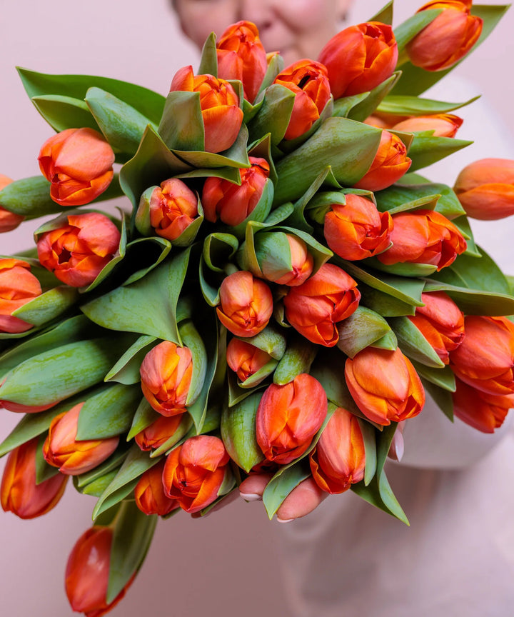 Orange Tulip Flower Seeds – Heirloom, Non-GMO, High Germination Seeds