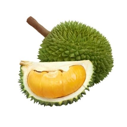 Green Durian Seeds – Heirloom, Non-GMO, High Germination Organic Garden Seeds
