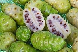 Fresh NONI Fruit Seeds for Planting | Heirloom Non-GMO High Germination Organic Garden Seeds