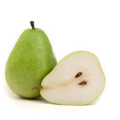 Green Pear Seeds for Planting – Heirloom Non-GMO High Germination Organic Garden Seeds