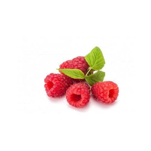 Red Raspberry Seeds – Heirloom, Non-GMO, High Germination Organic Garden Seeds