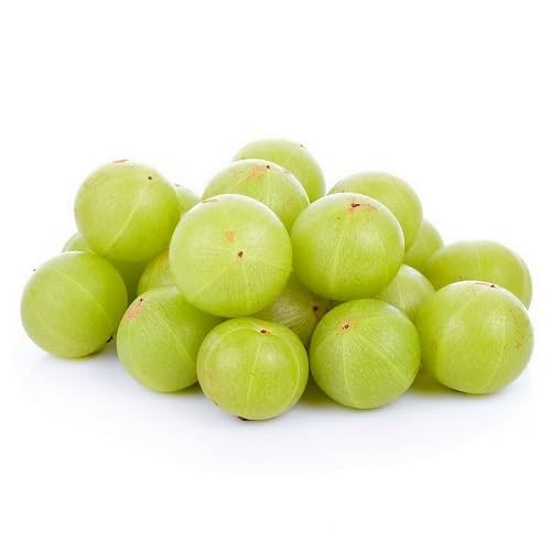 Gooseberry Seeds – Heirloom, Non-GMO, High Germination Organic Garden Seeds