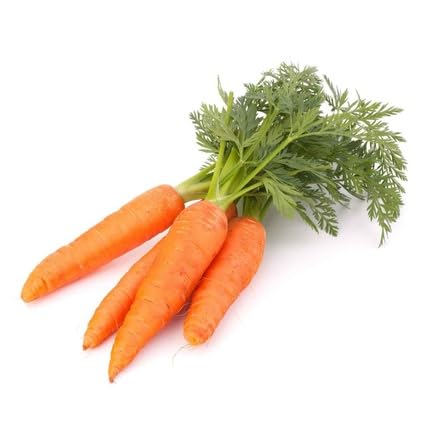 Orange Carrot Seeds – Heirloom, Non-GMO, High Germination Organic Garden Seeds Planting