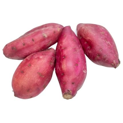 Pink Sweet Potato Seeds – Heirloom, Non-GMO, High Germination Organic Garden Seeds Planting