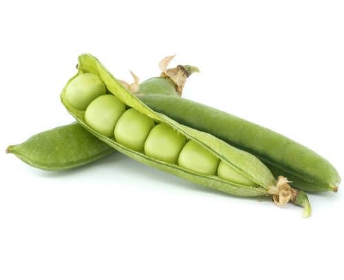 Green Pea – Heirloom, Non-GMO, High Germination Organic Garden Seeds Planting
