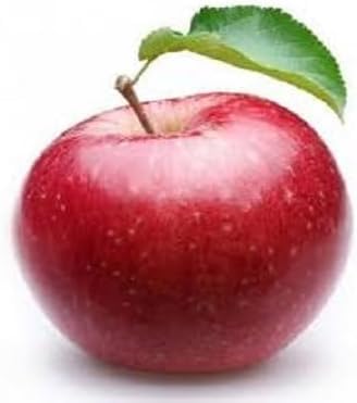 Red Apple Seeds – Heirloom, Non-GMO, High Germination Organic Garden Seeds
