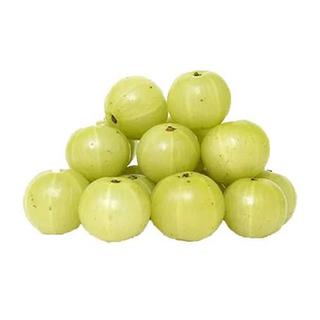 Amla Seeds – Heirloom, Non-GMO, High Germination Organic Garden Seeds