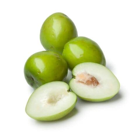 Jujube Seeds – Heirloom, Non-GMO, High Germination Organic Garden Seeds
