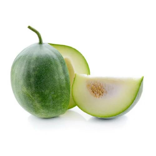 Ash Gourd Palegreen Seeds – Heirloom, Non-GMO, High Germination Organic Garden Seeds Planting