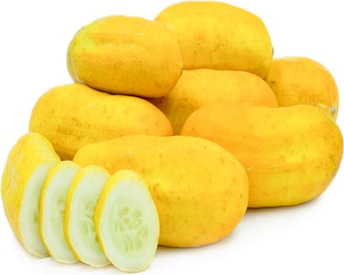 yellow cucumber heirloom non-gmo seeds