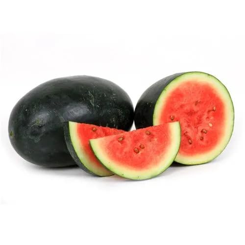 Red Water Melon Seeds Heirloom Non-GMO High Germination Organic Garden Seeds for Planting