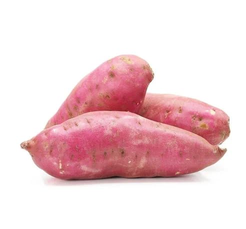 Sweet Potato Vegetables Seeds – Heirloom, Non-GMO, High Germination Organic Garden Seeds Planting