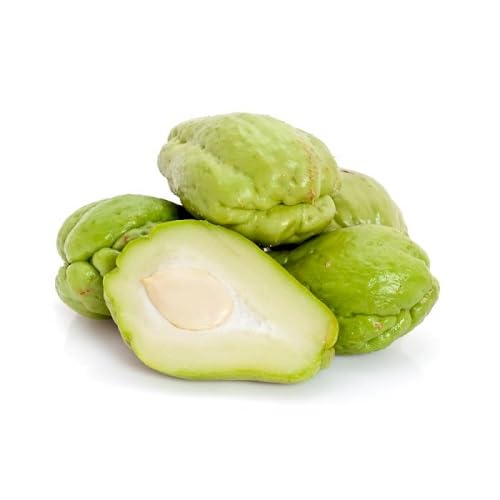 Green Chayote Seeds – Heirloom, Non-GMO, High Germination Organic Garden Seeds Planting