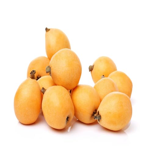 Loquat Seeds – Heirloom, Non-GMO, High Germination Organic Garden Seeds