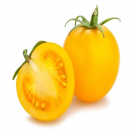 Semillas de tomate amarillo – Herencia, sin OGM, alta germinación Semillas de jardín orgánicas para plantar
