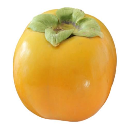 Yellow Permission Seeds – Heirloom, Non-GMO, High Germination Organic Garden Seeds