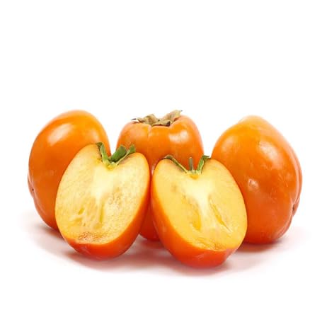 Orange Persimmon Seeds – Heirloom, Non-GMO, High Germination Organic Garden Seeds