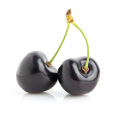Black Cherry Seeds – Heirloom, Non-GMO, High Germination Organic Garden Seeds