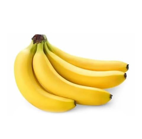 Yellow Banana Seeds – Heirloom, Non-GMO, High Germination Organic Garden Seeds