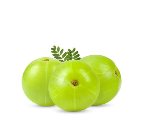 Green Amla Seeds – Heirloom, Non-GMO, High Germination Organic Garden Seeds