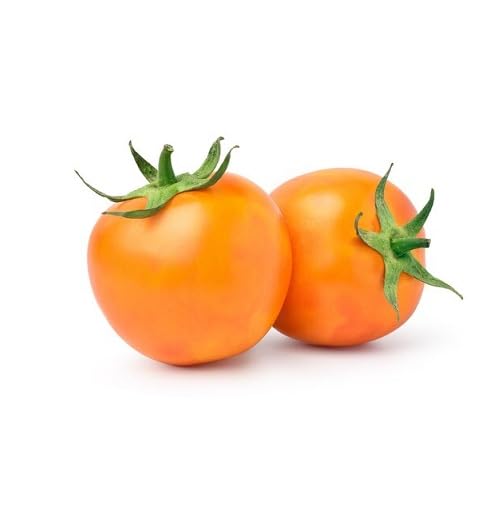 Orange Tomato Seeds – Heirloom, Non-GMO, High Germination Organic Garden Seeds Planting