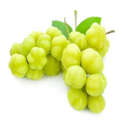 Green Gooseberry Seeds – Heirloom, Non-GMO, High Germination Organic Garden Seeds