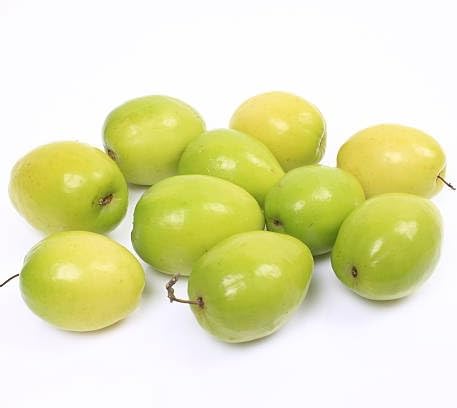 Jujube Seeds Green – Heirloom, Non-GMO, High Germination Organic Garden Seeds