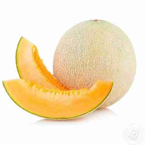 Cantaloupe Melon Fruit Seeds for Planting – Heirloom Non-GMO High Germination Organic Garden Seeds for Sweet Juicy Melons