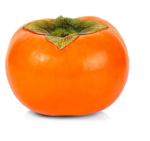 Persimmon Seeds – Heirloom, Non-GMO, High Germination Organic Garden Seeds