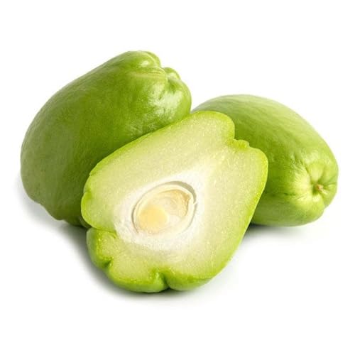 Green Chayote Seeds – Heirloom, Non-GMO, High Germination Organic Garden Seeds Planting