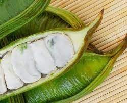 Inga Edulis Plant Seeds – Heirloom Non-GMO High Germination Organic Garden Seeds for Planting Tropical Delight Seeds for Planting