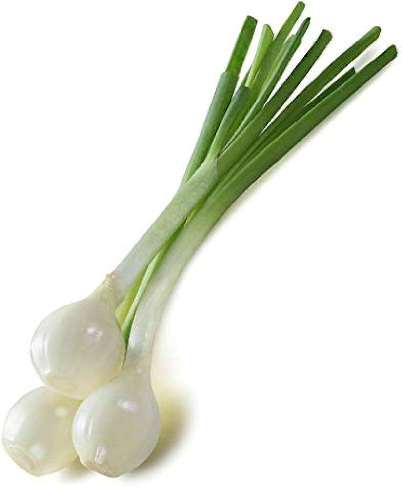 White Crystal Wax Bermuda Onion Seeds for Planting
