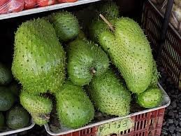Giant Soursop Fruit Seeds for Planting – Heirloom, Non-GMO, High Germination Organic Garden Seeds
