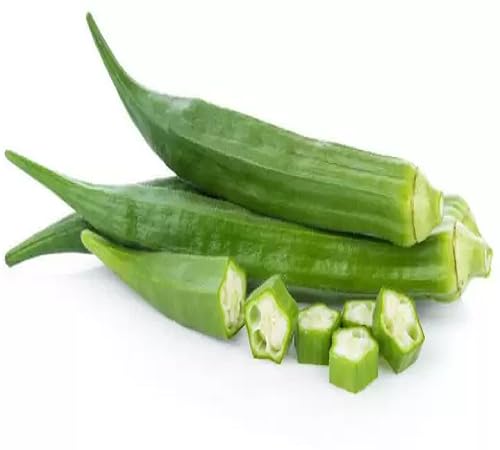 Okra Green Seeds – Heirloom, Non-GMO, High Germination Organic Garden Seeds Planting