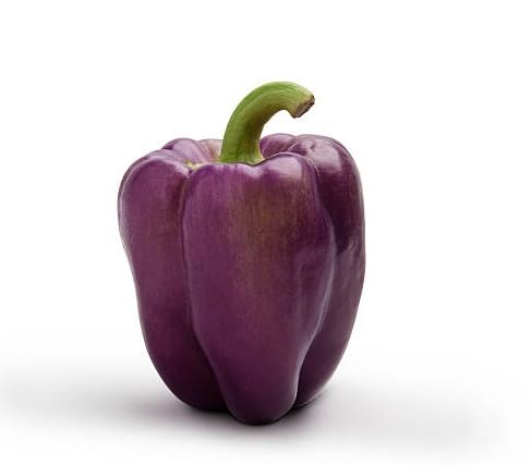 Pepper Seeds – Heirloom, Non-GMO, High Germination Organic Garden Seeds Planting