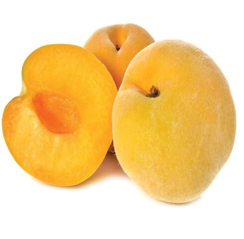 Yellow Peach Seeds – Heirloom, Non-GMO, High Germination Organic Garden Seeds