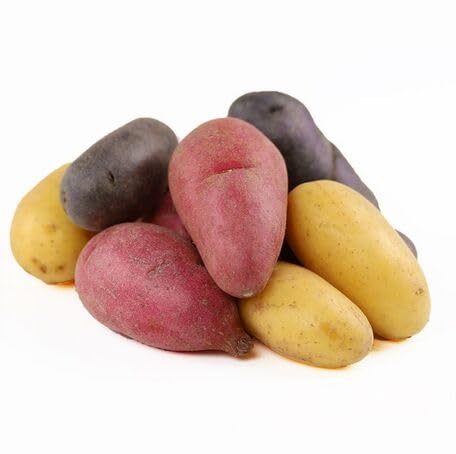 Mixed Potato Seeds – Heirloom, Non-GMO, High Germination Organic Garden Seeds Planting