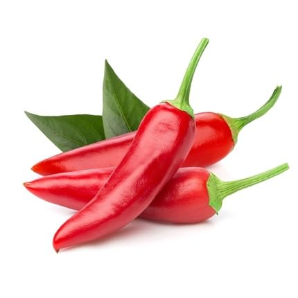 Chilli Seeds – Heirloom, Non-GMO, High Germination Organic Garden Seeds Planting