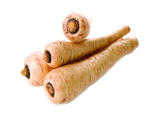 Parsnip Seeds – Heirloom, Non-GMO, High Germination Organic Garden Seeds Planting
