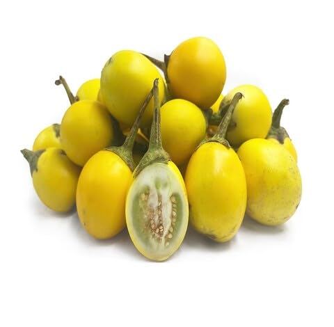 yelloweggplantheirloomnongmo flower seeds