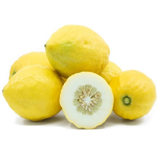 Yellow Etrog Seeds – Heirloom, Non-GMO, High Germination Organic Garden Seeds