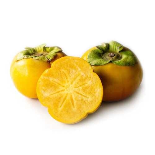 Persimmon Seeds – Heirloom, Non-GMO, High Germination Organic Garden Seeds