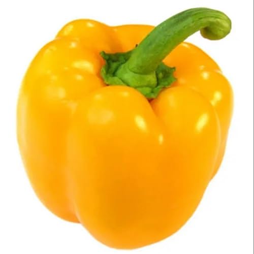 Yellow Pepper Seeds – Heirloom, Non-GMO, High Germination Organic Garden Seeds Planting