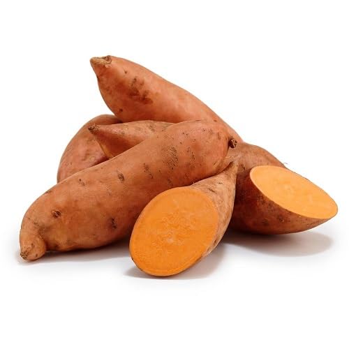 Sweet Potato Seeds – Heirloom, Non-GMO, High Germination Organic Garden Seeds Planting
