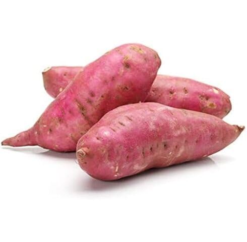 Pink Yacon Seeds for Planting – Heirloom Non-GMO Organic Garden Seeds High Germination Root Vegetable Seeds