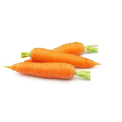 Orange Carrot Seeds – Heirloom, Non-GMO, High Germination Organic Garden Seeds Planting