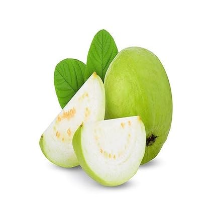 guava tree flower seeds