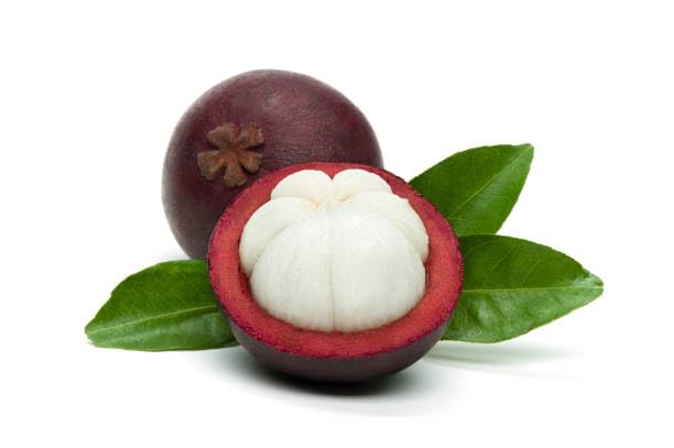 Mangosteen Seeds Maroon – Heirloom, Non-GMO, High Germination Organic Garden Seeds
