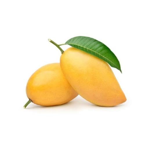 Yellow Mango Seeds – Heirloom, Non-GMO, High Germination Organic Garden Seeds